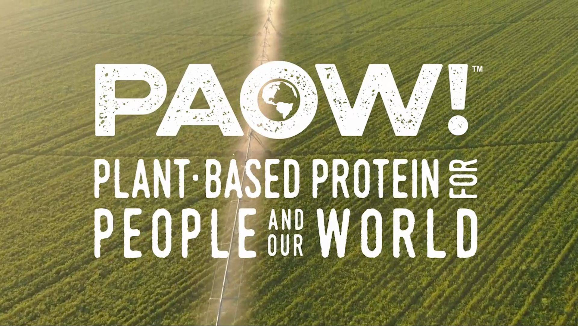Load video: Video of PAOW! Plant-Based Protein